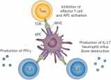 T cells out of control-impaired immune regulation in the inflamed joint